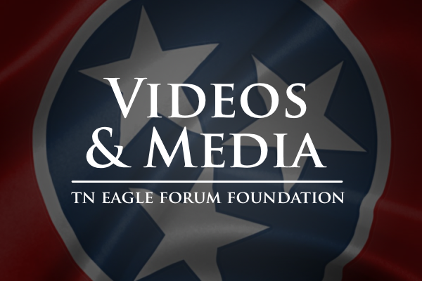 video and media banner