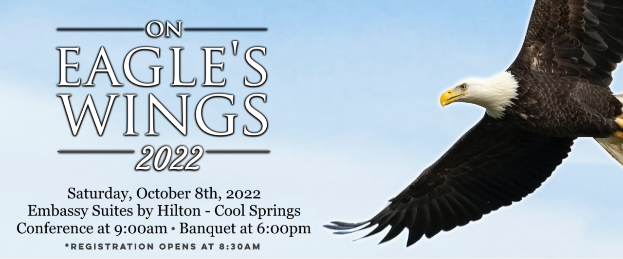 eagles wings slider